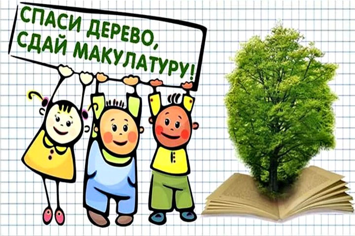 Мы бумагу соберем – лес в Беларуси сбережем!